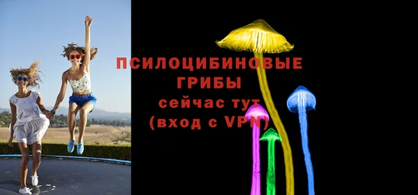 стафф Михайлов
