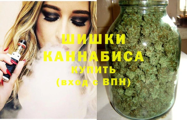 стафф Михайлов