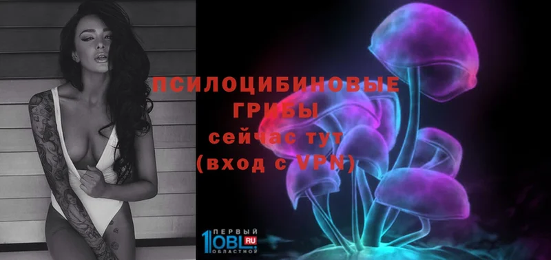 Псилоцибиновые грибы Magic Shrooms  Дубовка 