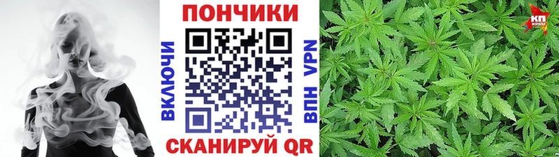 Конопля конопля  Дубовка 